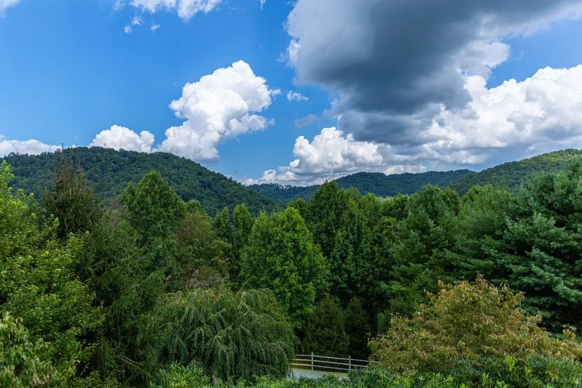 A sweeping view of a mountainous landscape covered in lush greenery, with dramatic clouds overhead. The scene evokes adventure and tranquility, perfect for hiking, nature walks, and bird watching. The perspective suggests an immersive outdoor environment ideal for exploring.